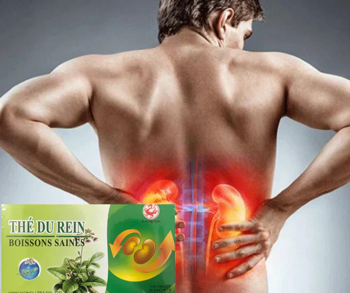 Natural Support for Healthy Kidneys!